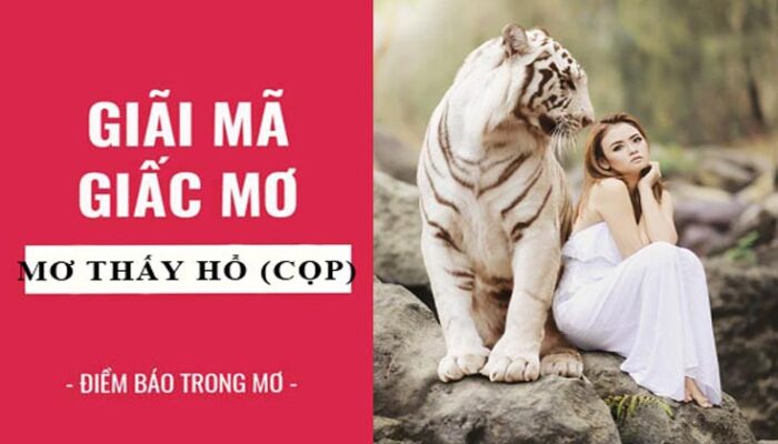 Nằm Mơ Thấy Hổ Vằn